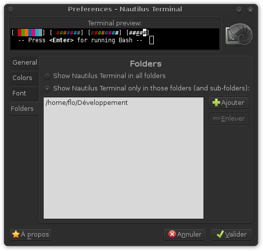 Capture d'écran de la fenêtre de préférences de Nautilus Terminal 0.1 (4ème onglet)