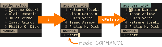 Exemple d'utilisation du mode COMMANDE avec « :1,5sort »